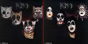 Cover Album Klasik Diparodikan dengan Kucing