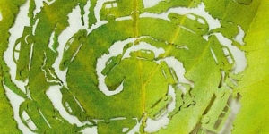 'Plant For The Planet' Iklan Unik dari Selembar Daun