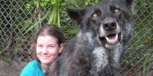 Serem Tapi Lucu! Anjing Raksasa Ini Tingginya Melebihi Pemiliknya