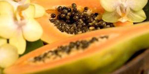 4 Manfaat Besar Biji Buah Pepaya 4 Manfaat Besar Biji Buah Pepaya