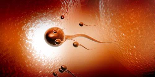 6 Tanda Sperma Tidak Normal 6 Tanda Sperma Tidak Normal