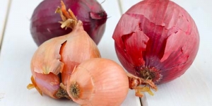 5 Bahan Makanan Pengganti Gizi Bawang Merah