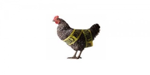 Virus Flu Burung H7N9 Kebal Obat