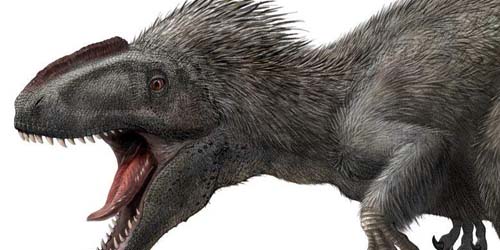 Ada Tyrex Berbulu di Cina