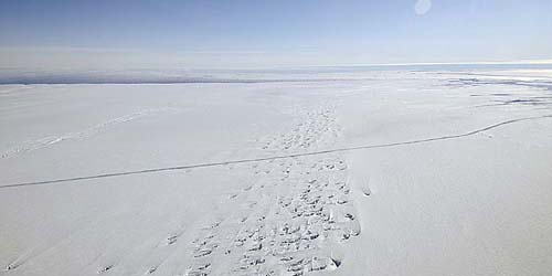 Gunung Es Terbesar di Dunia Pisah Dari Antartika