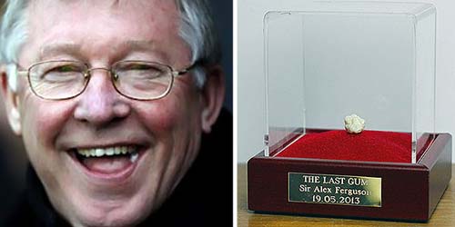 Permen Karet Bekas Sir Alex Ferguson Dijual Rp 6 Miliar