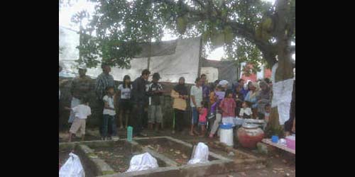 Pohon Nangka Berbuah Pisang Muncul di Tangerang Pohon Nangka Berbuah Pisang Muncul di Tangerang