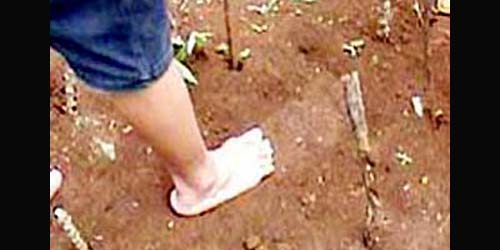 Warga Ciamis Temukan Jejak Kaki Raksasa Warga Ciamis Temukan Jejak Kaki Raksasa
