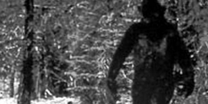 Hasil DNA Ungkap Monster Bigfoot itu Nyata