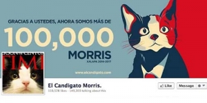 Kucing Bernama Morris Jadi Calon Wali Kota di Meksiko