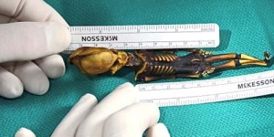 Misteri Fosil Alien Berukuran 15 Cm Dari Chili Terungkap