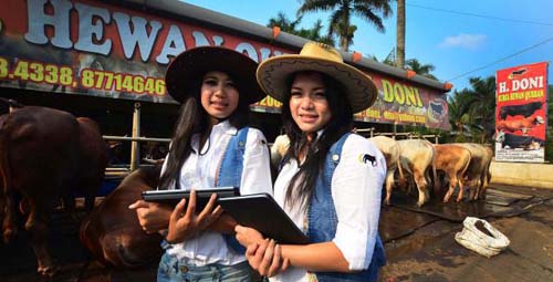Ladies Cowboy Penjajah Sapi Qurban SPG Cantik Siap Layani Pembeli Hewan Kurban Ladies Cowboy Penjajah Sapi Qurban SPG Cantik Siap Layani Pembeli Hewan Kurban