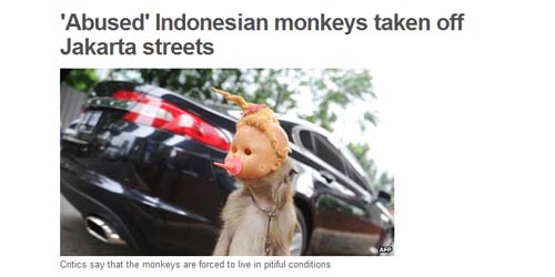 Media Internasional BBC Sorot Razia Topeng Monyet di Jakarta