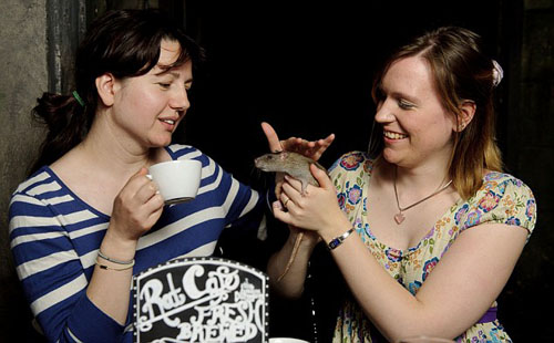 Rat Cafe, London