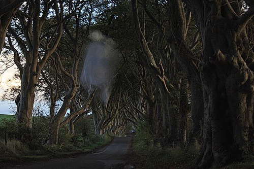 hantu Grey Lady Dark Hedges