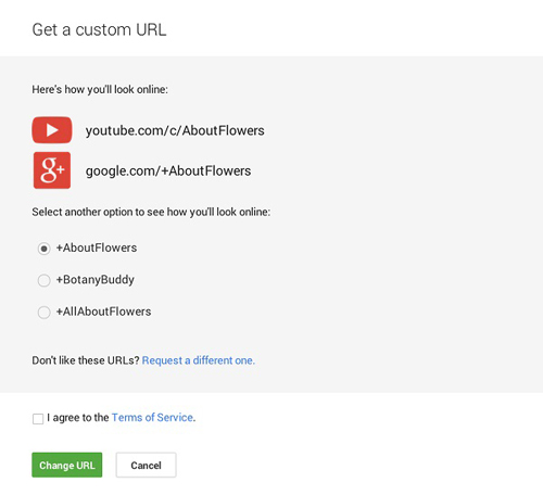 URL YouTube