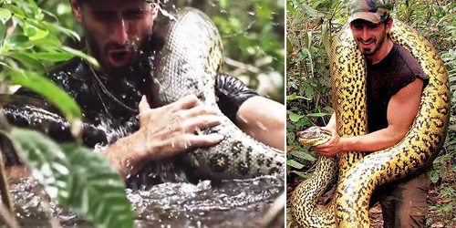 Pembawa Acara Discovery Channel Rela Ditelan Anaconda Hidup-Hidup