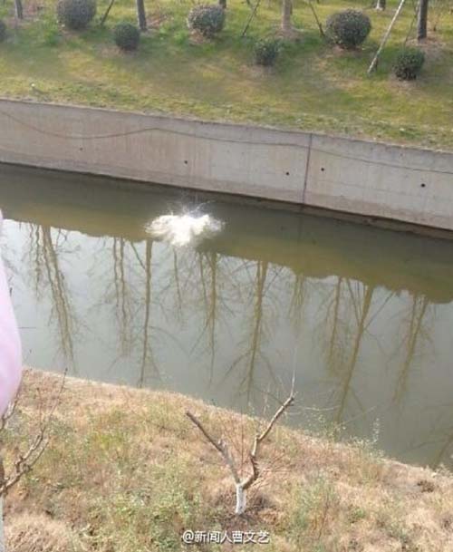 Foto : Pria Ini Apes Usai Selamatkan Wanita Telanjang