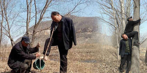Kisah 2 Pria Buntung dan Buta Tanam 10.000 Pohon di Tiongkok