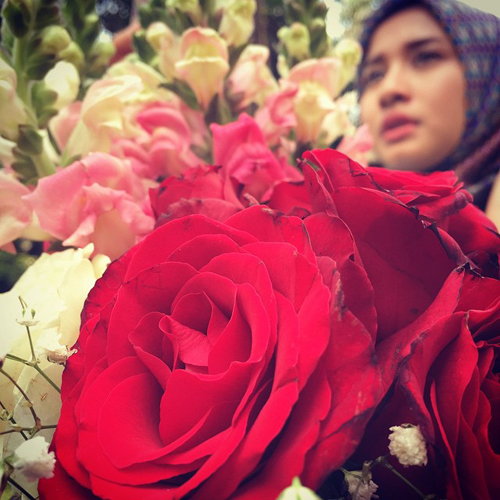 dimas beck laudya cynthia bella