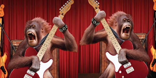 Kafe Malaysia Sulap Orangutan Jadi Rocker Menuai Kecaman
