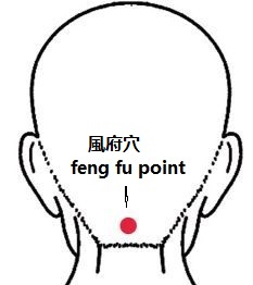 titik feng fu atau fen fu