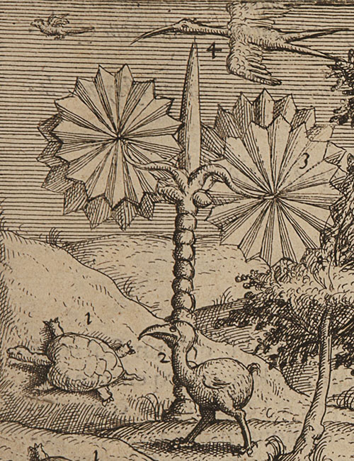 Tampilkan Burung Kuno Dodo Buku Ini Terjual Rp 250 Juta