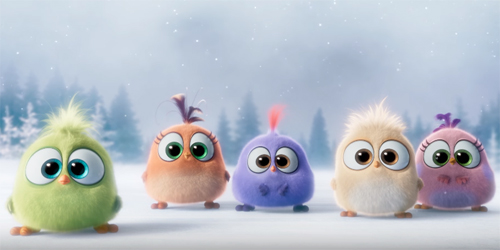Video Lucu & Menggemaskan Bayi Angry Birds Ucapkan Selamat Liburan