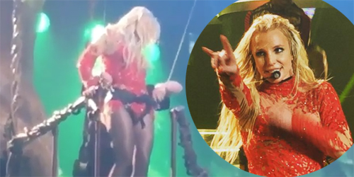 Video Memalukan Britney Spears Nyangkut di Pohon