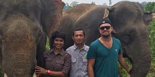 Leonardo DiCaprio Foto Bareng Gajah Sumatera di Aceh