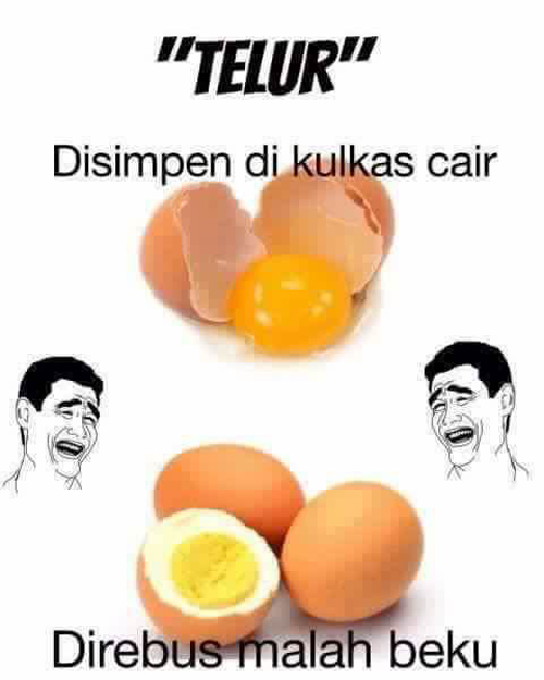 Telur disimpan di kulkas cair, direbus beku