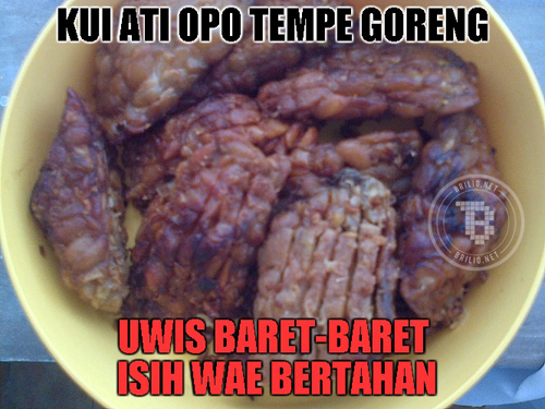 Itu ati apa tempe goreng