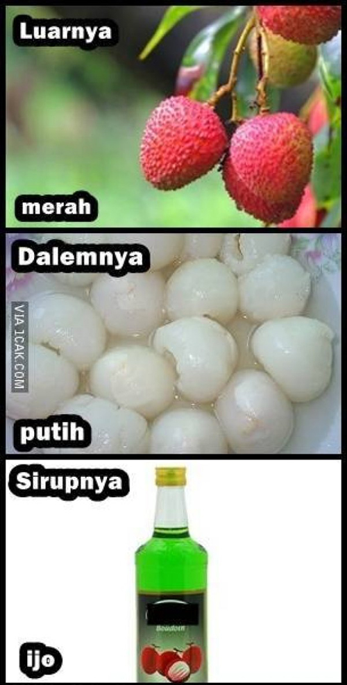 Sirup leci