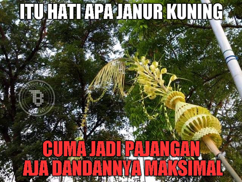 Itu hati apa janur kuning