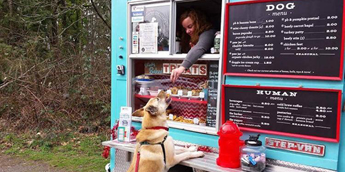Unik, Ada Menu untuk Anjing di Truk Makanan Keliling ini