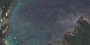 Google Earth Tangkap Penampakan Monster Laut di Selandia Baru