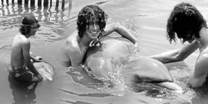 Malcolm Brenner, Ngaku Seks Dengan Lumba-Lumba Selama Setahun