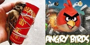 Bocah China Ikat Burung di Roket Kembang Api Terinspirasi Angry Birds