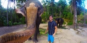 Ambil GoPro, Gajah Thailand Selfie Dengan Pengunjung