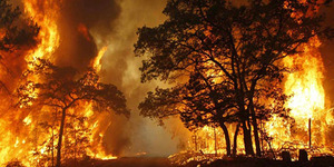 NASA Sebut Api di Kalimantan Sulit Padam