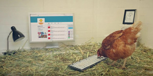 Unik, Inilah Ayam Pertama yang Jadi Admin Twitter Restoran