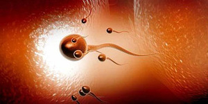 Manfaat Sehat Menelan Sperma Bagi Wanita