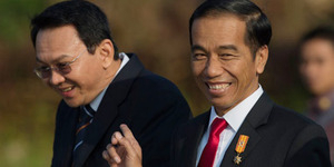 Mimpi Jokowi Beli Sapi Lokal Diwujudkan Ahok