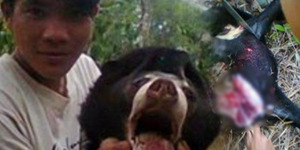 Pamer Sembelih Beruang Madu di FB, Putra Mendadak Hilang