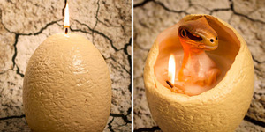 Lilin Telur Unik Isi Bayi Dinosaurus Yang Menggemaskan