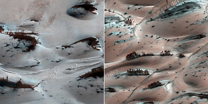 NASA Temukan Hutan di Mars?