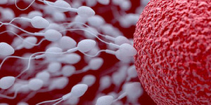 7 Mitos & Fakta Tentang Sperma