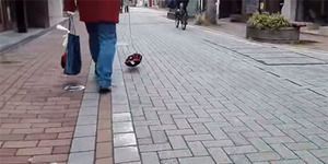 Video Pria Menuntun Anjing Tak Terlihat Hebohkan Netizen