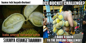 17 Meme Durian Kocak Banget Bikin Ngakak