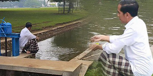 Hobi Syahdu Jokowi: Beri Makan Ikan di Sungai